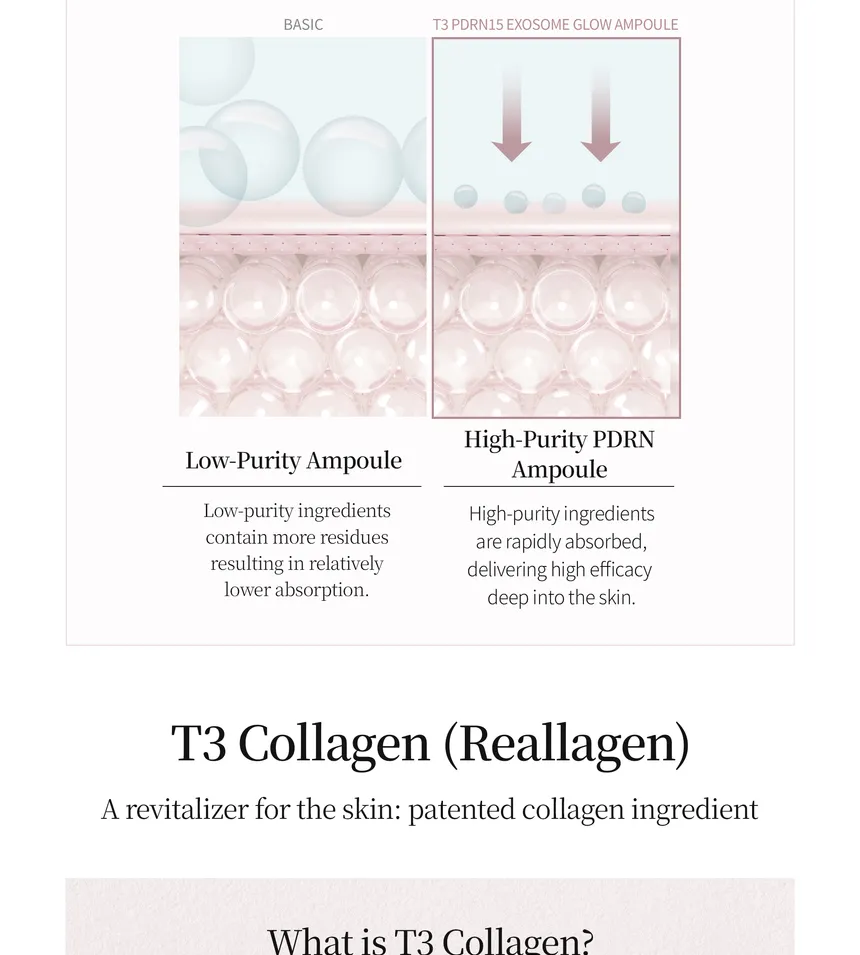 PESTLO T3 PDRN Exosome Glow Ampoule 30ml